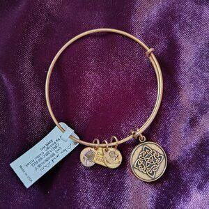 Alex and Ani Celtic Knot Endless Energy Adjustable Bangle Positive Self Love 795